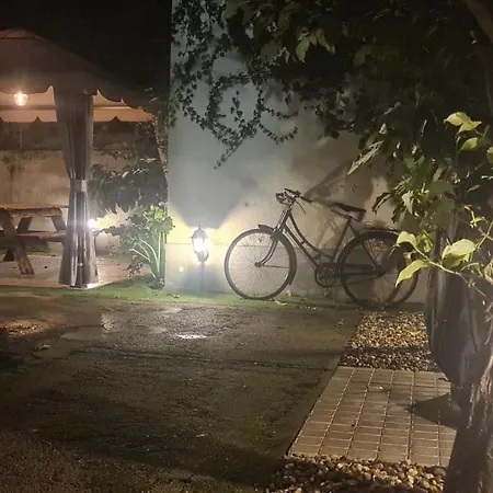 Casinhas No Carolina - *