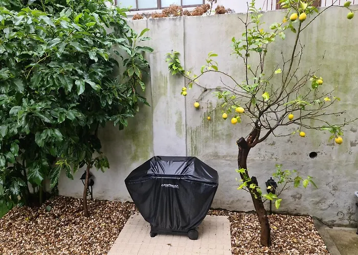 Hostel Casinhas No Carolina - Porto