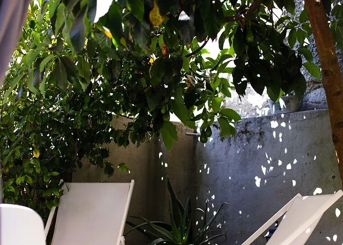 Casinhas No Carolina - Oporto