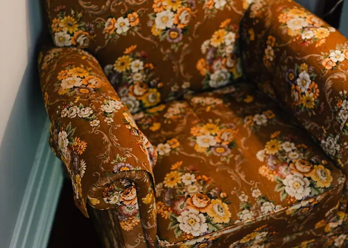 Casinhas No Carolina -