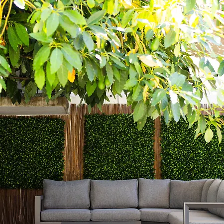 Casinhas No Carolina - * 波尔图