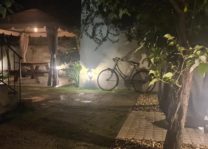 Casinhas No Carolina - *