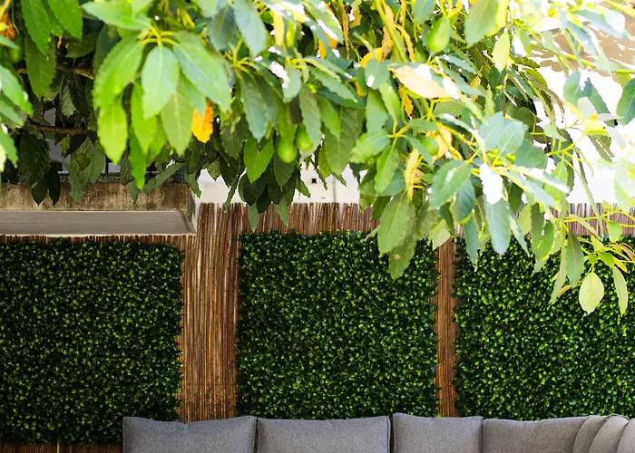 Casinhas No Carolina - * Oporto