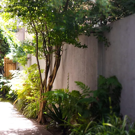 אכסניה Casinhas No Carolina -