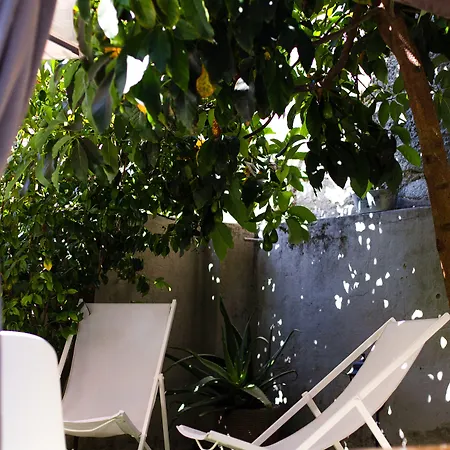 Casinhas No Carolina - פורטו