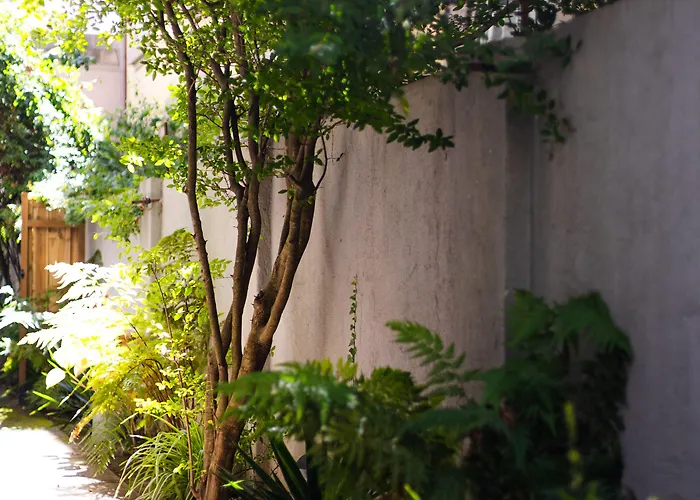 Albergue Casinhas No Carolina -